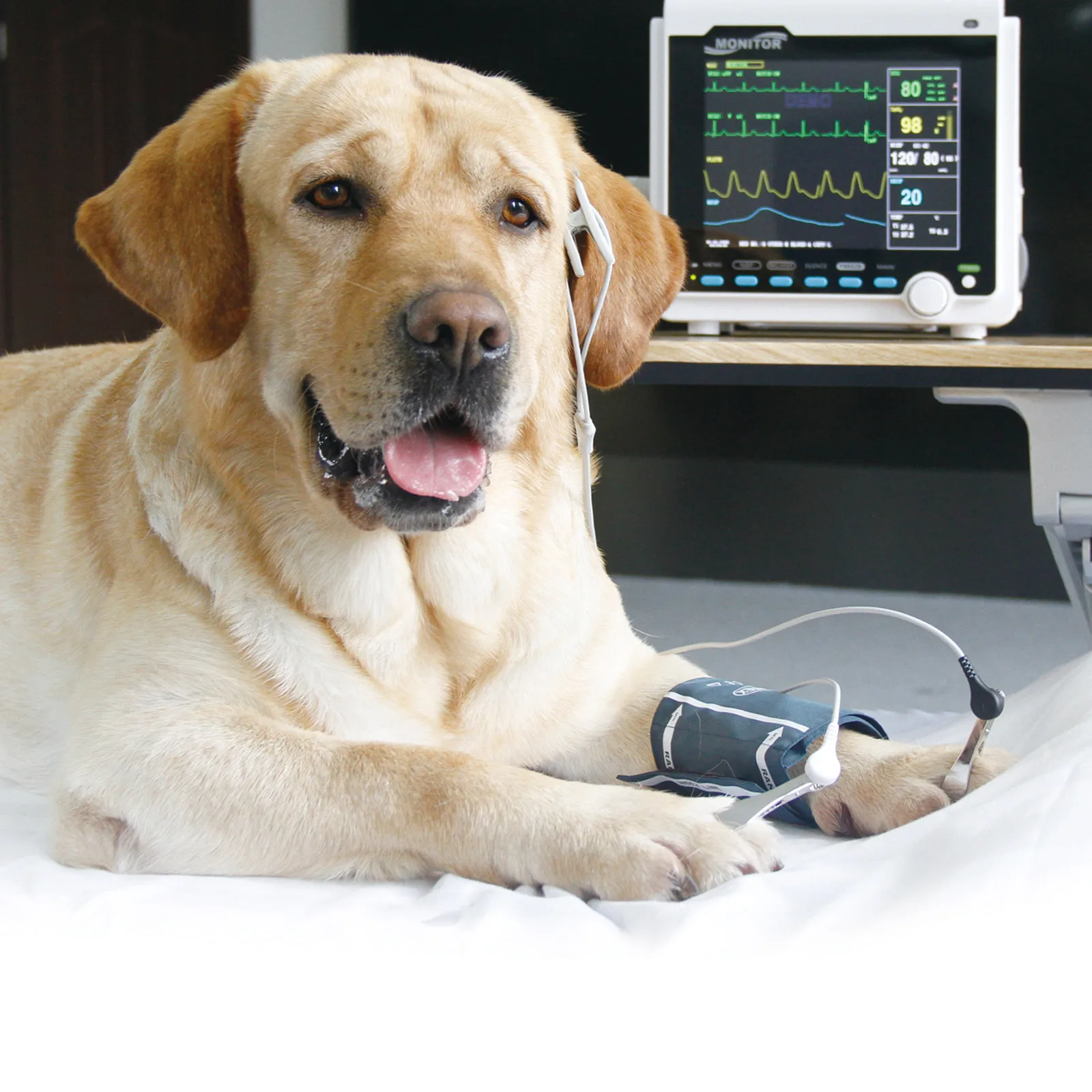 CONTEC Portable Patient Monitor Human/Veterinary 8" Vital Sign Monitor ECG NIBP RESP SPO2 PR TEMP (Printer&Etco2 Option)