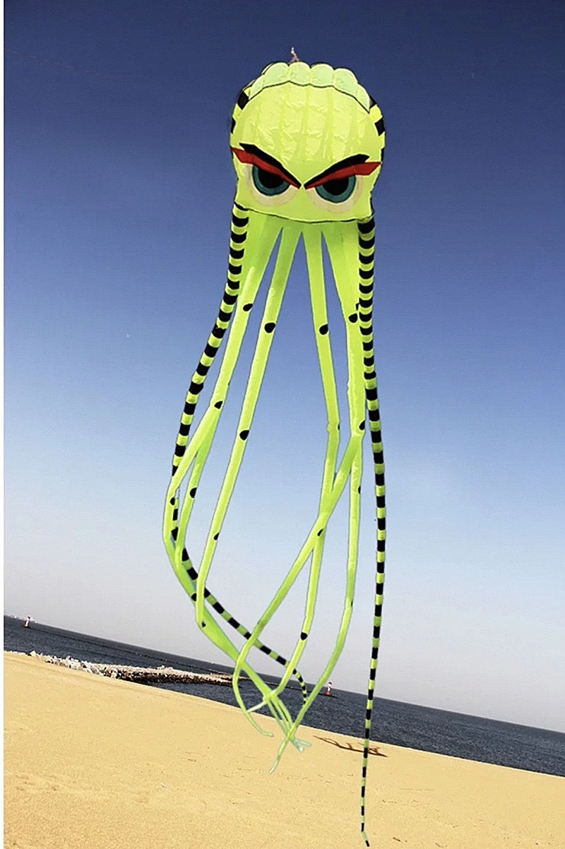 8m Octopus kites garden toys Power kite professional paragliding inflatable show kites brazilian flying kite koinobori soft kite