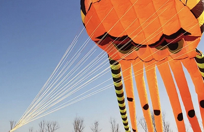 8m Octopus kites garden toys Power kite professional paragliding inflatable show kites brazilian flying kite koinobori soft kite