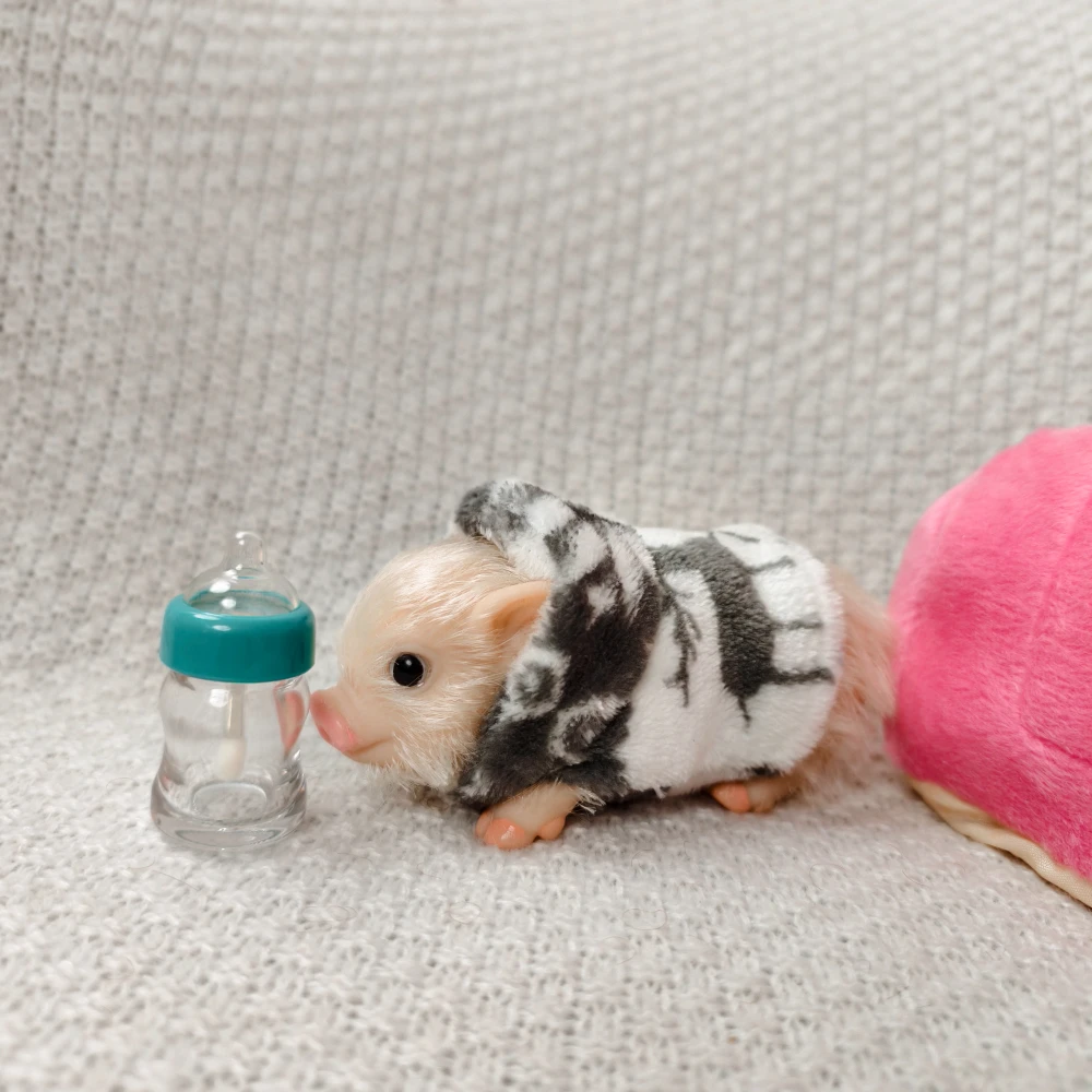 5 Inch Silicone Piglet Soft Cute Mini Realistic Animals with Accessories Lifelike Reborn Newborn Pig Doll Decompression Toy Gift