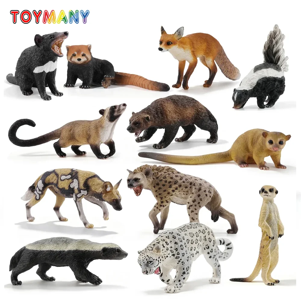 Toymany Simulation Carnivore Wildlife Animal Model Toy Mini Figures Dolls Action Figurines Toys Children Gift Cake Decoration