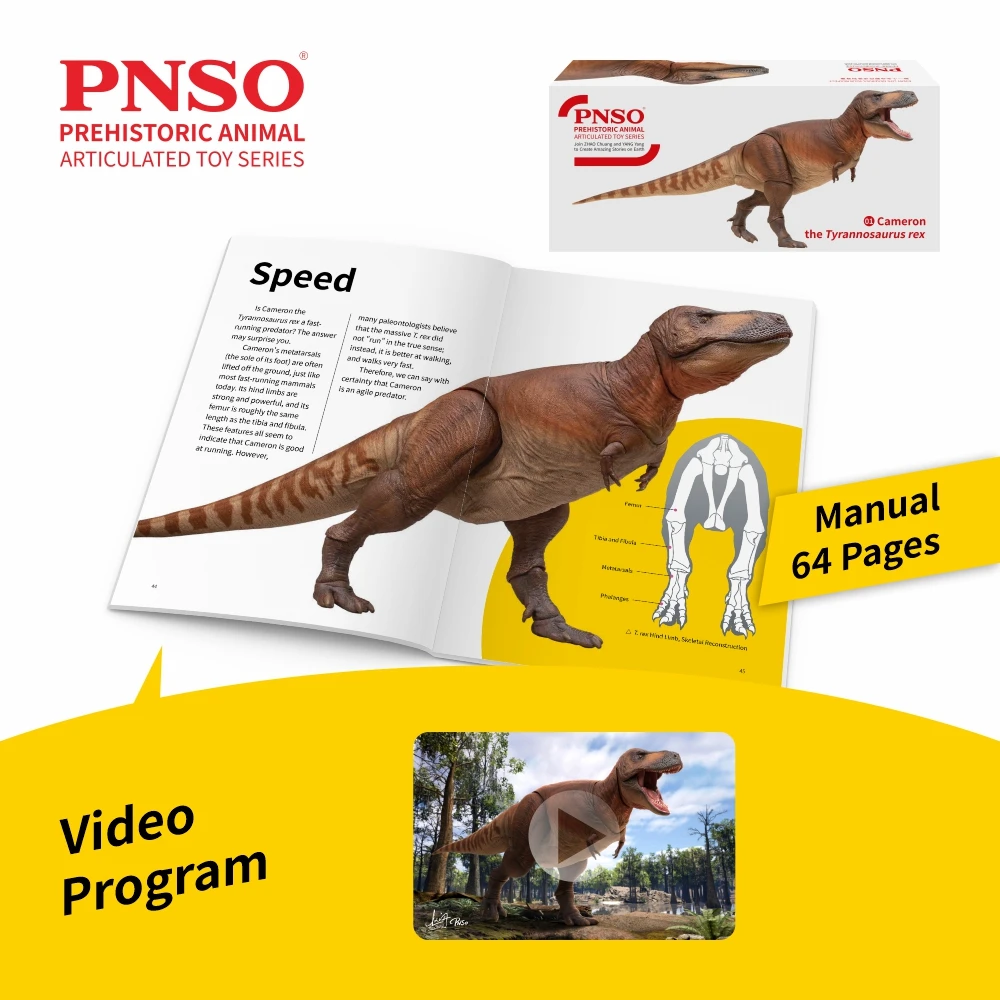PNSO Prehistoric Animai Articulated Toy Series:01Cameron The Tyrannosaurus rex