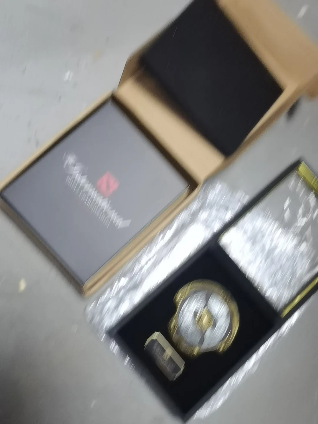 DOTA2 TI10 Aegis of Champions Metal Shield Double‑Sided Engraved with Display Box Collectible Gift for Dota2 Fans