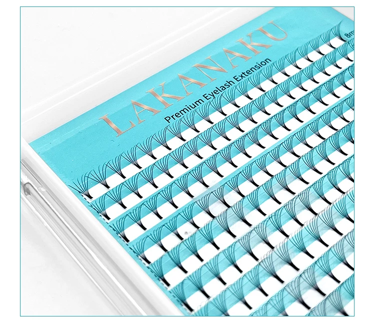 Lakanaku 320 Fans Premade Volume Fans 3D 4D 5D 6D Soft Cashmere Matte Eyelashes Large Capacity Cilios Individual Lash Extension