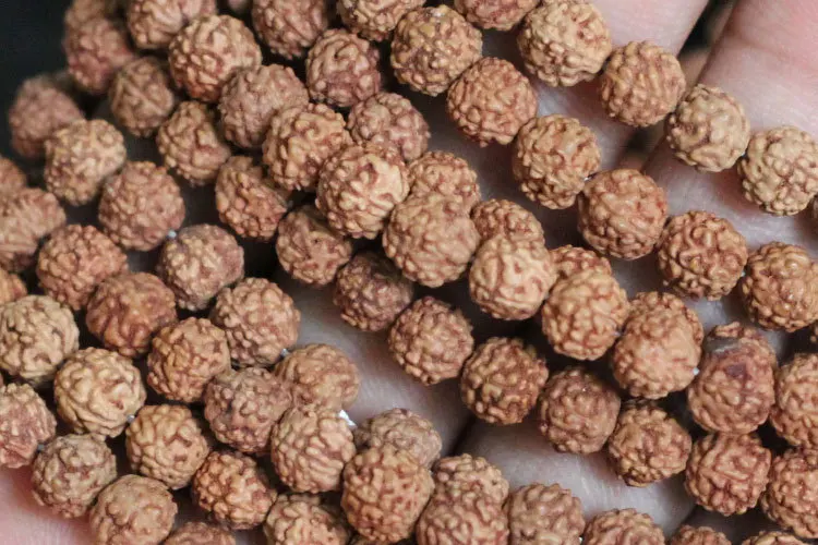 Natural Mala Rudraksha Beads 108PCS 6 8 10 12 mm Prayer Buddhist for Bracelet Necklace Meditation Practice DIY Jewelry Making