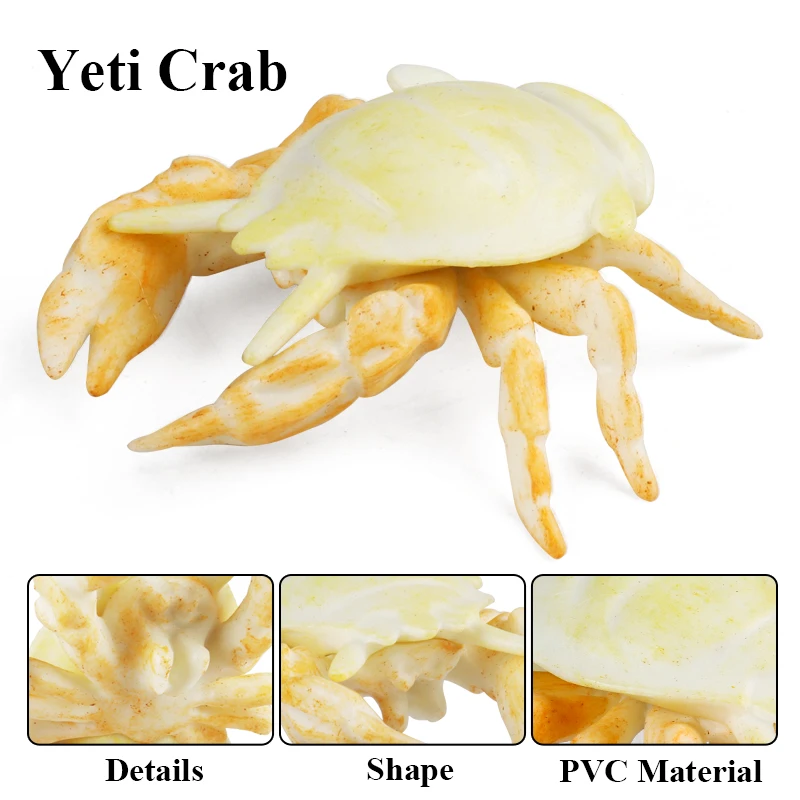 Oenux Ocean Animals Model Coral Jellyfish Ammonite Anemone Sea Scorpion Action Figures Mini Home Decoration Kids Education Toy