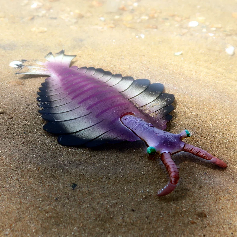 Oenux Ocean Animals Model Coral Jellyfish Ammonite Anemone Sea Scorpion Action Figures Mini Home Decoration Kids Education Toy