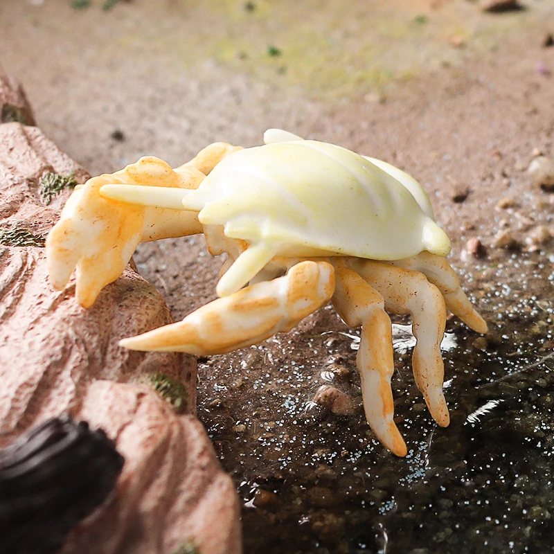 Oenux Ocean Animals Model Coral Jellyfish Ammonite Anemone Sea Scorpion Action Figures Mini Home Decoration Kids Education Toy