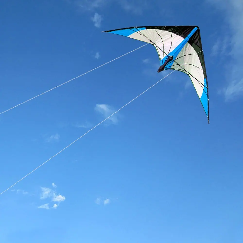 NEW Arrive 48 Inch Blue Professional Dual Line Stunt Kite With Handle And Line Good Flying Factory Outlet