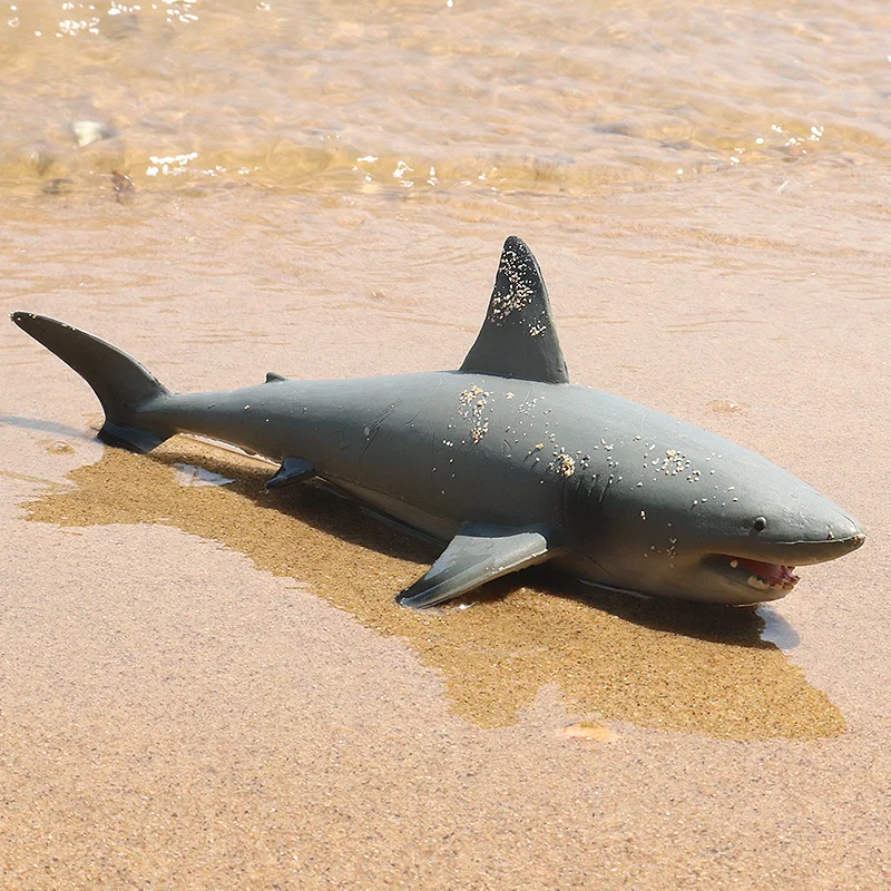 Oenux Ocean Animals Action Figures Sealife Shark Whare Megalodon Model Figurines PVC Home Decoration Kid Cognitive Education Toy