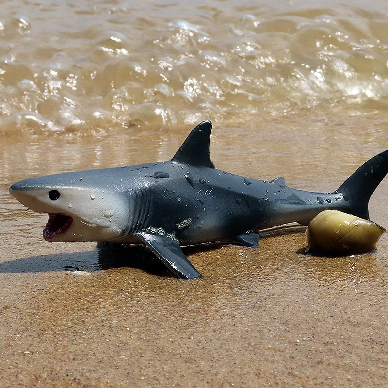 Oenux Ocean Animals Action Figures Sealife Shark Whare Megalodon Model Figurines PVC Home Decoration Kid Cognitive Education Toy