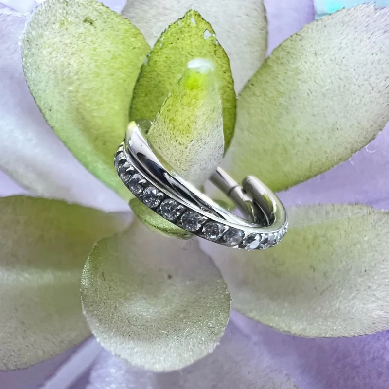 G23 16G Titanium CZ Row Conch Nose Ring Cartilage Hoop Daith Tragus Helix Lobe Earring Hinged Segment Clicker Piercing Jewelry