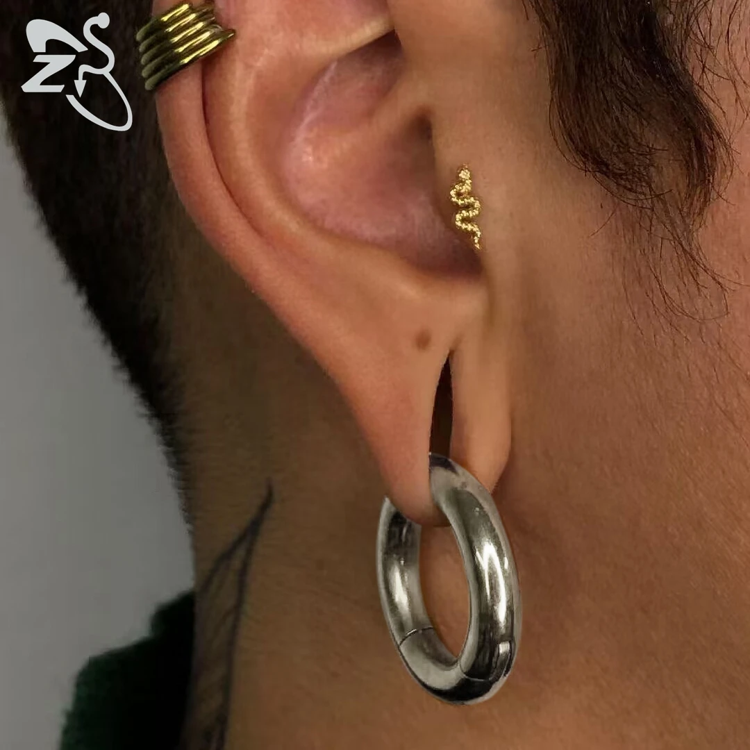 ZS 1PC G23 Titanium Hoop Earring for Women Silver Plated Circle Earring Large Gauge Seputm Nose Ring 2/4/6/8/10/12G Punk Earring