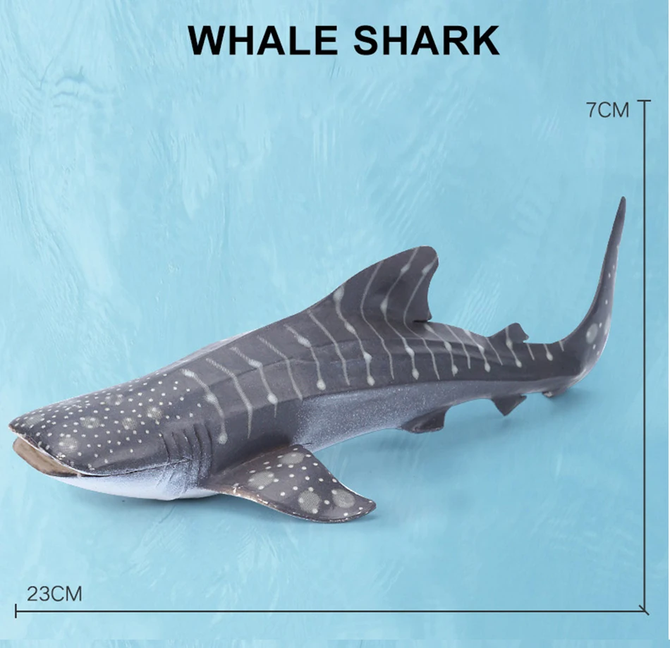 Simulation Marine Sea Life Whale Figurines Shark Cachalot Action Figures Ocean Animal Model Dolphin Hammerhead Educational Toys
