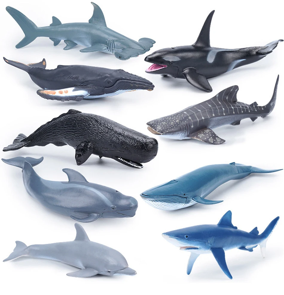 Simulation Marine Sea Life Whale Figurines Shark Cachalot Action Figures Ocean Animal Model Dolphin Hammerhead Educational Toys