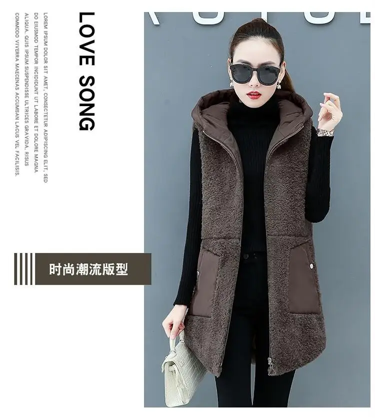 Women Lamb Wool Vest Coat Autumn Winter Warm Hooded Cardigan Sleeveless Tops Free Shipping Plus Size Loose Korean Fashion Thick