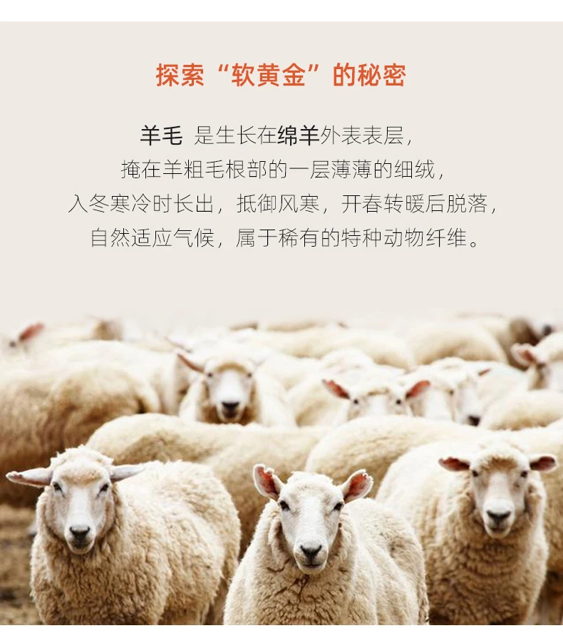 Merino Wool Knitted T-shirt Women's Summer 2023 New Half Height Pullover Short Sleeve Vest Fashion Basic Solid Color Women's Top
