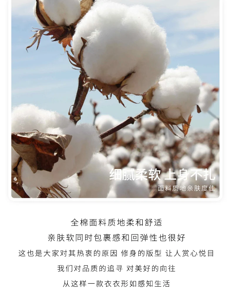 Women's Autumn Winter 100% Cotton Soft Sweater O-Neck Pullover Color Contrast Striped Casual Knitted Bottoming Warm Sweater