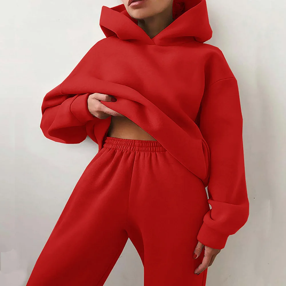 Autumn Women's Tracksuit Two Piece Sets Casual Solid Long Sleeve Hooded Sports Suit Warm Hoodie Sweatshirts Long Pant