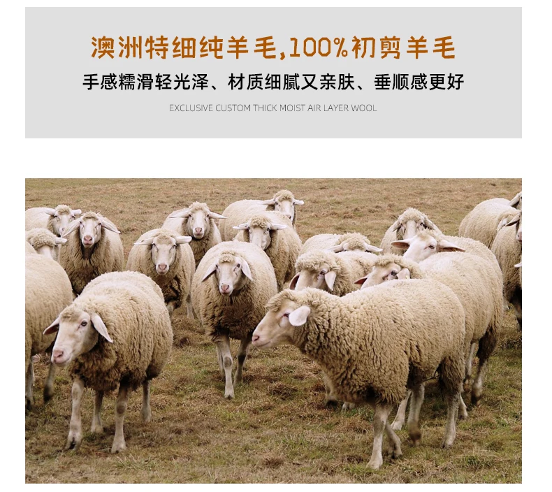 New Women's Coat Pure Wool Plaids and Tweedst Fashion Camel Women's Coat Elegant Trench Coat