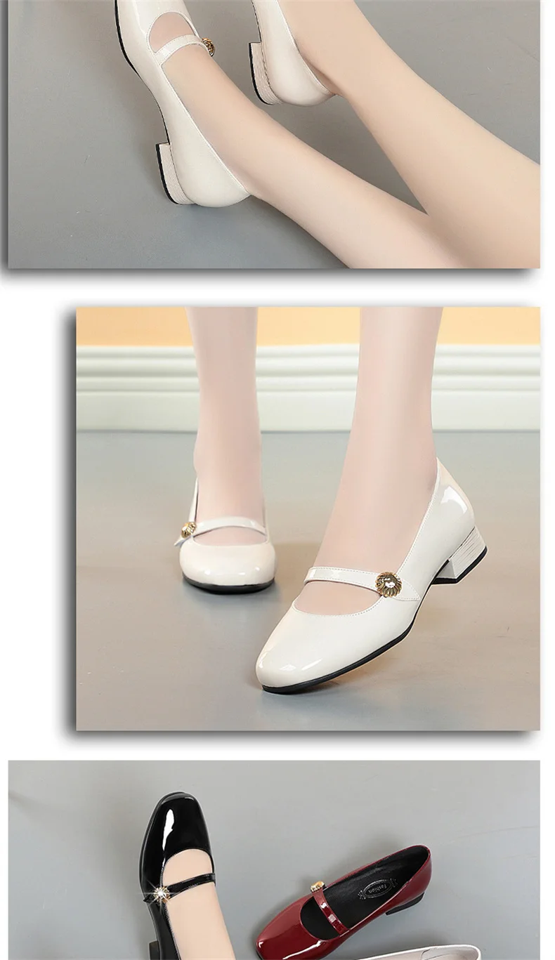Spring Autumn Fashion Women's Shoes Mary Jane Style Shoes Low Heel Shallow Mouth Round Toe Comfort Solid Color Party Shoes