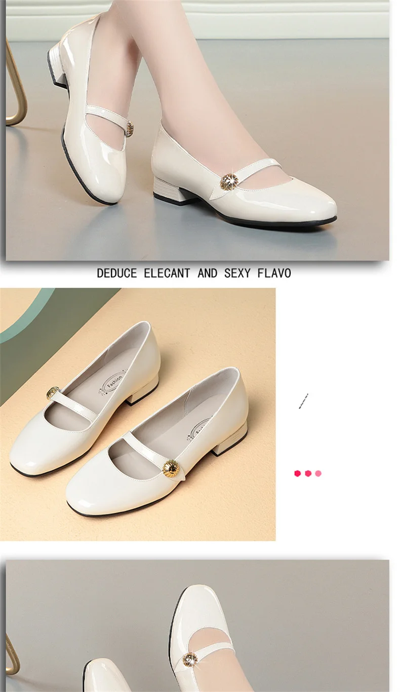 Spring Autumn Fashion Women's Shoes Mary Jane Style Shoes Low Heel Shallow Mouth Round Toe Comfort Solid Color Party Shoes