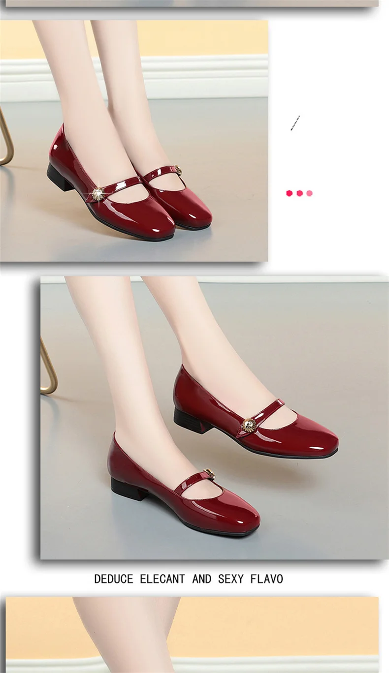 Spring Autumn Fashion Women's Shoes Mary Jane Style Shoes Low Heel Shallow Mouth Round Toe Comfort Solid Color Party Shoes