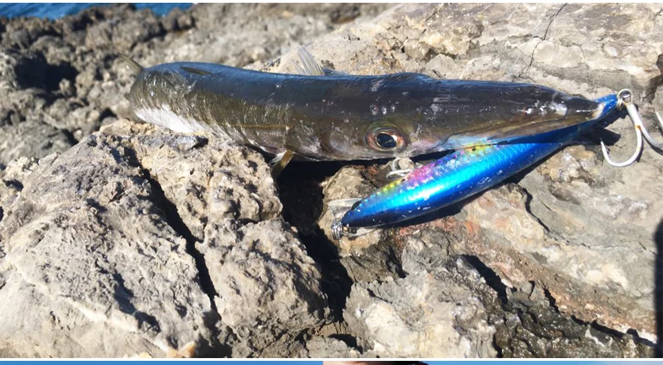 TSURINOYA 120S Sinking Minnow 12cm 40g DW37 Saltwater Hard Boat Fishing Lure Artificial Minnow Bait with Treble Hooks Wobblers