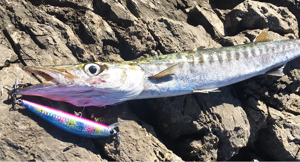 TSURINOYA 120S Sinking Minnow 12cm 40g DW37 Saltwater Hard Boat Fishing Lure Artificial Minnow Bait with Treble Hooks Wobblers