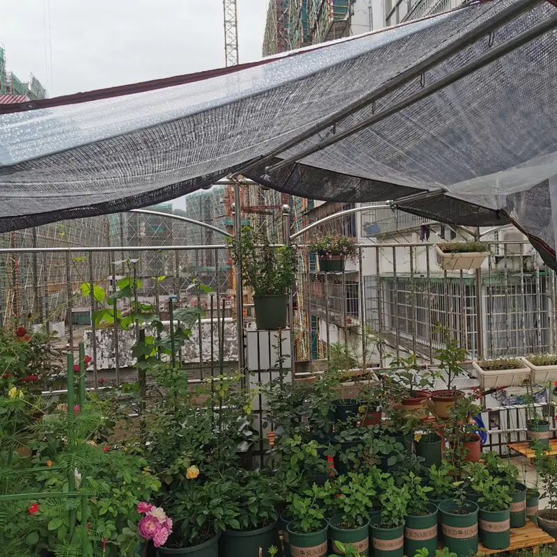 Transparent PE Film Tarpaulin Balcony Succulent Plant Cover Gazebo Tent Rainproof Awning Garden Furniture Waterproof Tarp Cover