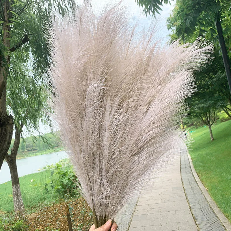 5Pcs Faux Pampas Grass Large 120/100/85cm Flower Bouquet Fake Artificial Pampas Grass Decor Tall Fluffy Stems Living Room Decor