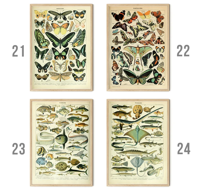 Vintage Palaeobios Botanical Retro Poster Insect Butterfly Mushrooms Canvas Oil Painting Wall Art Prints Wall Picture Home Decor
