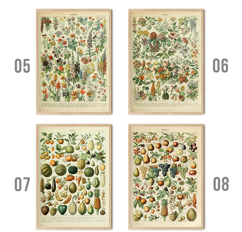 Vintage Palaeobios Botanical Retro Poster Insect Butterfly Mushrooms Canvas Oil Painting Wall Art Prints Wall Picture Home Decor
