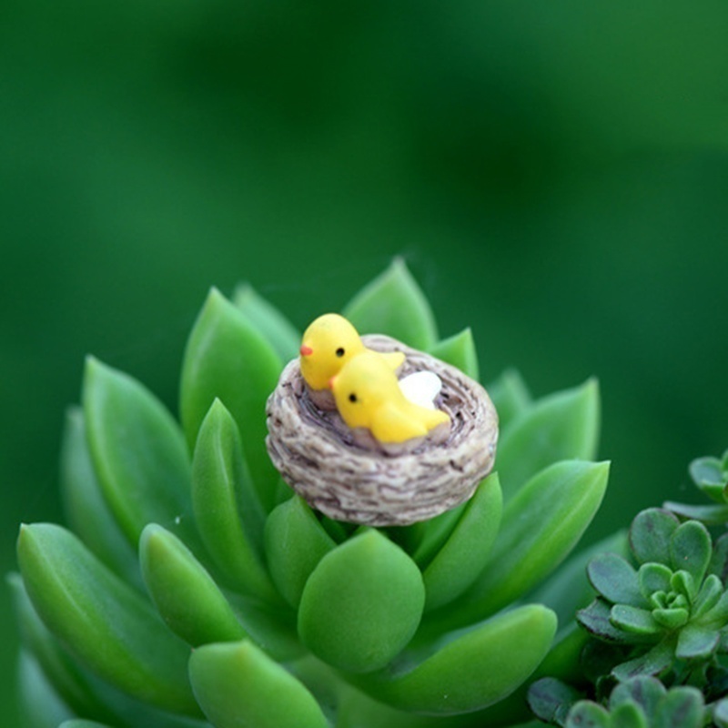 DIY Mini Nest with Birds Fairy Garden Miniatures Gnomes Moss Terrariums Resin Crafts Figurines