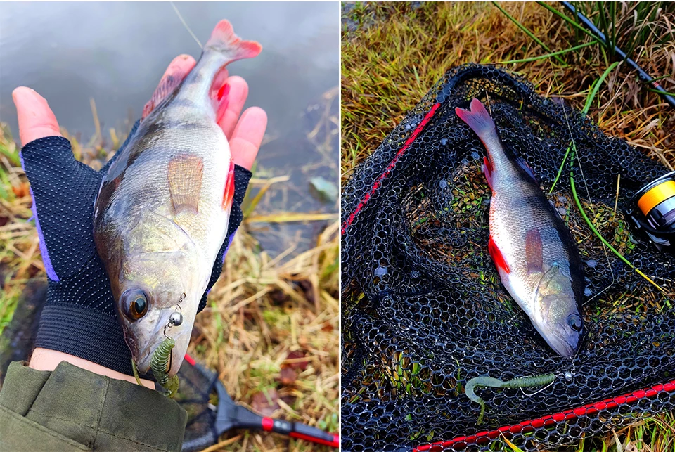 TSURINOYA Fishing Lure Grub 63mm 0.7g 40pcs Light Game Ajing Artificial Soft Bait BOUNDEN Bass Add Shrimp Salt Silicone Swimbait