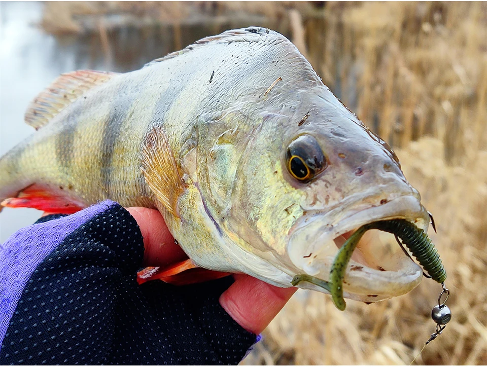 TSURINOYA Fishing Lure Grub 63mm 0.7g 40pcs Light Game Ajing Artificial Soft Bait BOUNDEN Bass Add Shrimp Salt Silicone Swimbait
