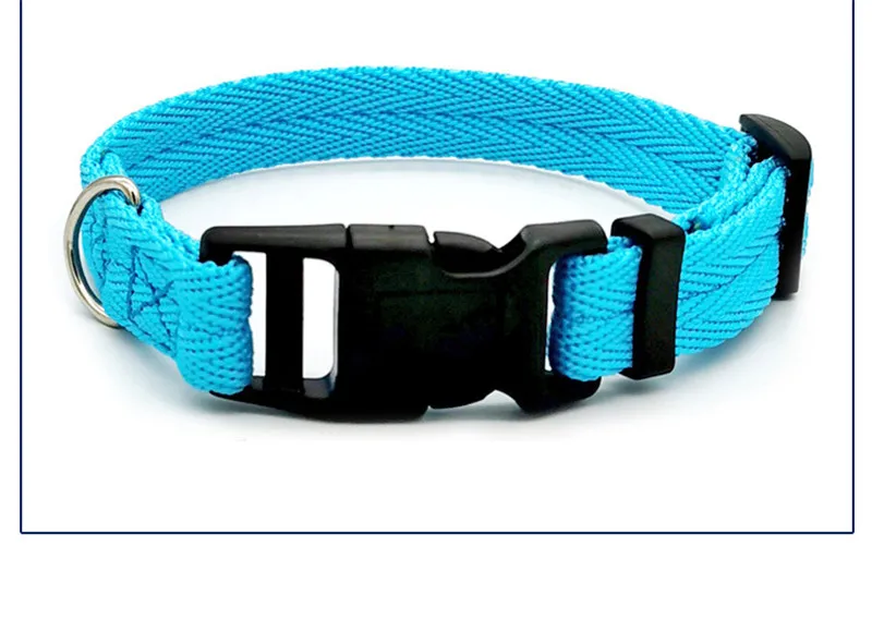 Nylon Webbing Dog Collar Fashion Buckle Pet Collar for Small Medium Dogs Chihuahua Dog Red Black Blue Orange Pet Accessory