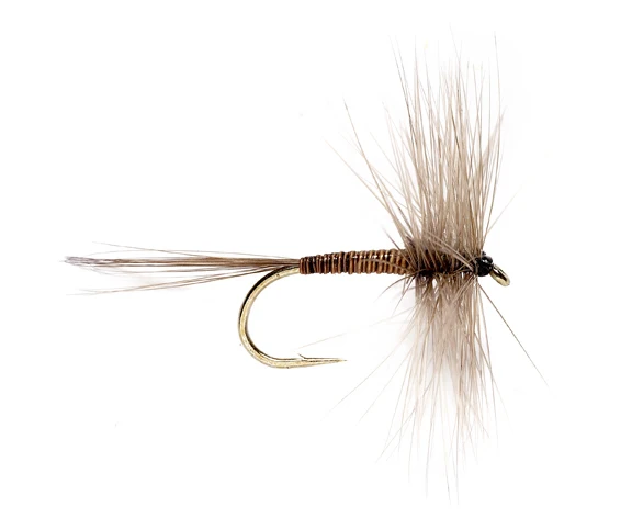 WIFREO 50pcs High Carbon Steel Fly Fishing Hooks 8#~22# Dry&Wet&Nymph&Shrimp Caddis Pupa Streamer Fly Tying Hooks