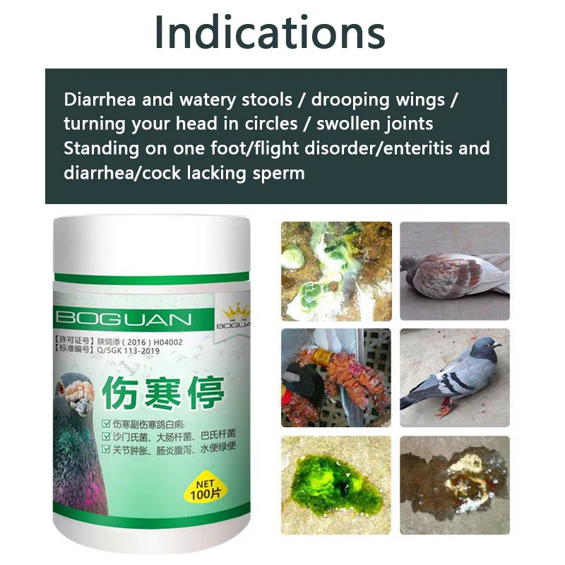 Pigeon typhoid fever stop Salmonella water green stool joint swelling enteritis yellow white stool diarrhea turning head