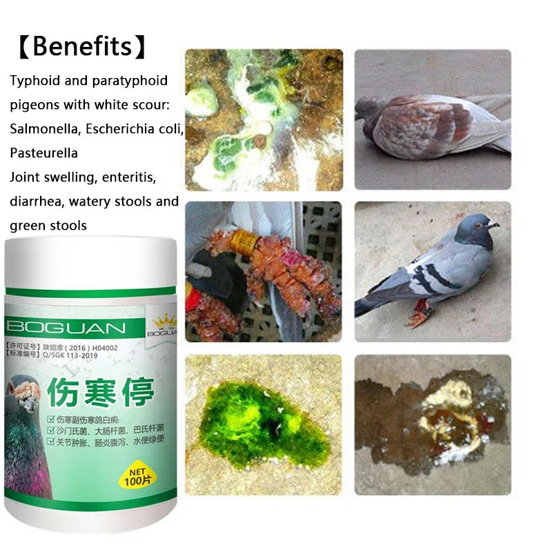 Pigeon typhoid fever stop Salmonella water green stool joint swelling enteritis yellow white stool diarrhea turning head