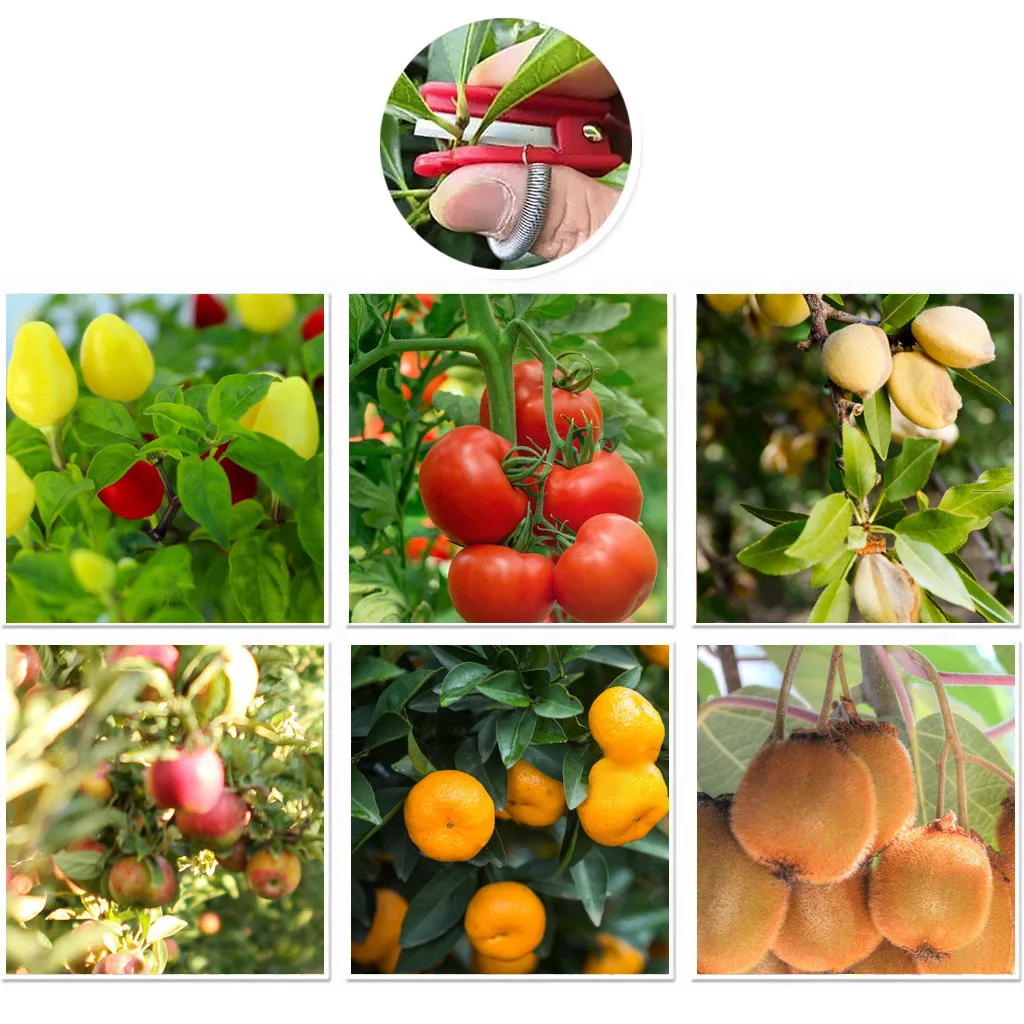 Multifunction Thumb Knife Garden Pruner Fruit Picking Device Safe Fruit Blade Tool Cutting Blade Rings Finger Protector Catcher