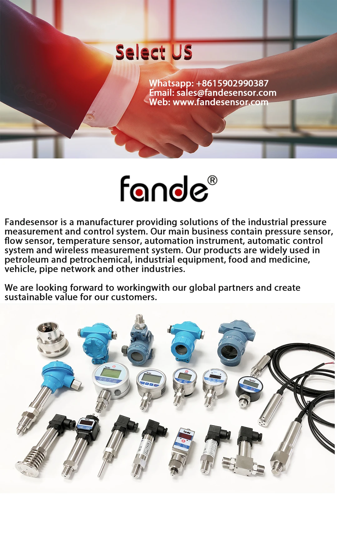 Fandesensor New Pressure Gauge for Hydraulic Water Air Oxygen Accuracy 1%FS Waterproof IP65 Diameter 80mm