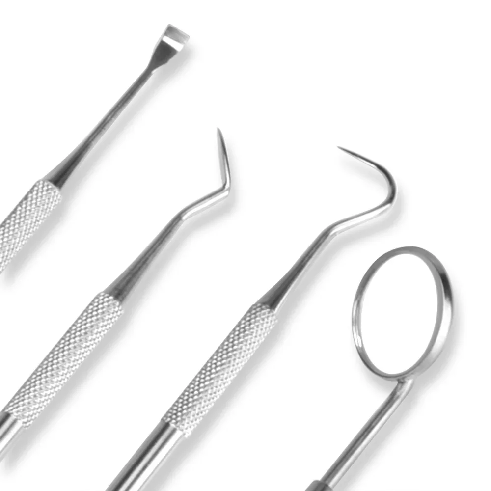 4pcs/Set Tartar Scraper Scaler Plaque Remover Teeth Cleaning Tool Dentist Dental Hygiene Kit Dental Calculus Remover Oral Care