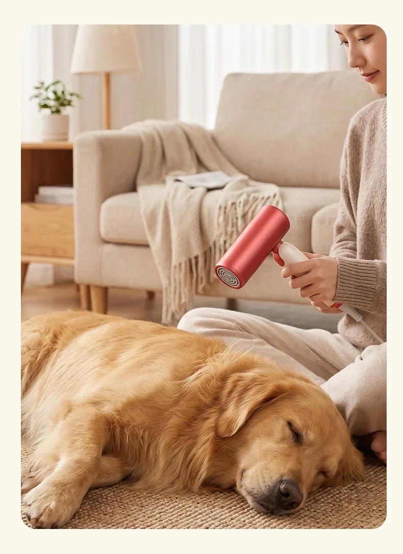 TINSOL Professional Negative Ion Hair Dryer, Constant Temperature Hair Care, Quick Drying, Convenient Foldable Hair Dryer