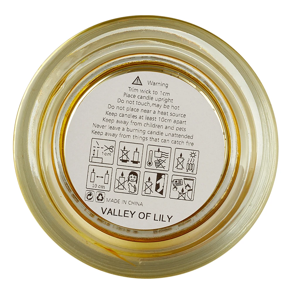 【Lifeideas】Aromatherapy Candles Gift Set for Women Scent Plant Soy Wax Portable Travel Scented Candles Long Lasting scent