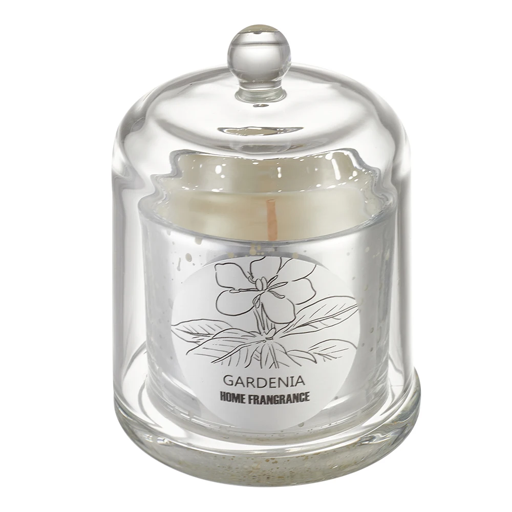 【Lifeideas】Aromatherapy Candles Gift Set for Women Scent Plant Soy Wax Portable Travel Scented Candles Long Lasting scent
