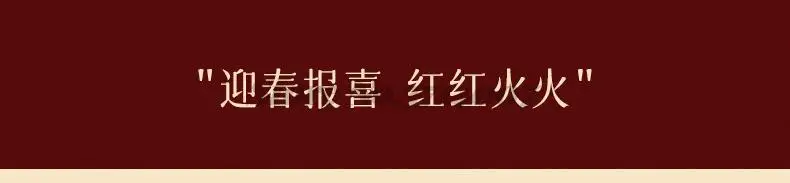 2023 Lunar New Year Stamp Sealing Seal Wax Fu Chun Chinese Traditional Elements Scrapbooking For Envelope Wedding Party