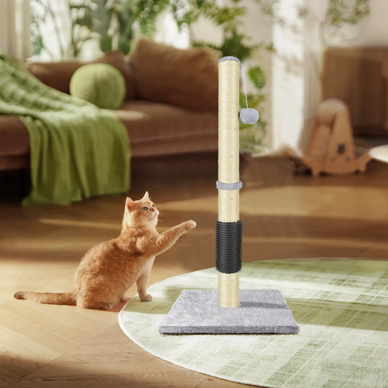 Cat Scratching Post & Activity Centre - 80cmTall Kitty Climbing Tree with Sisal Rope, Hanging Ball & Carpet Covered Heavy Base