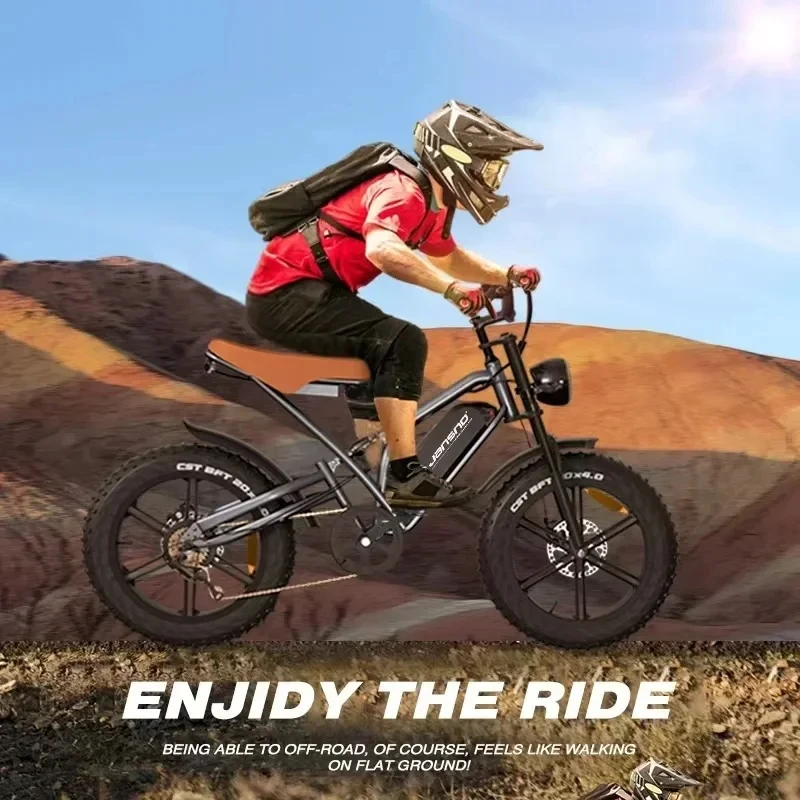 JANSNO Electric Bike 750W Powerful Motor 48V14AH Lithium Battery E Bike 20*4.0 Inch All Terrain Fat Tire Adult Electric Bicycle