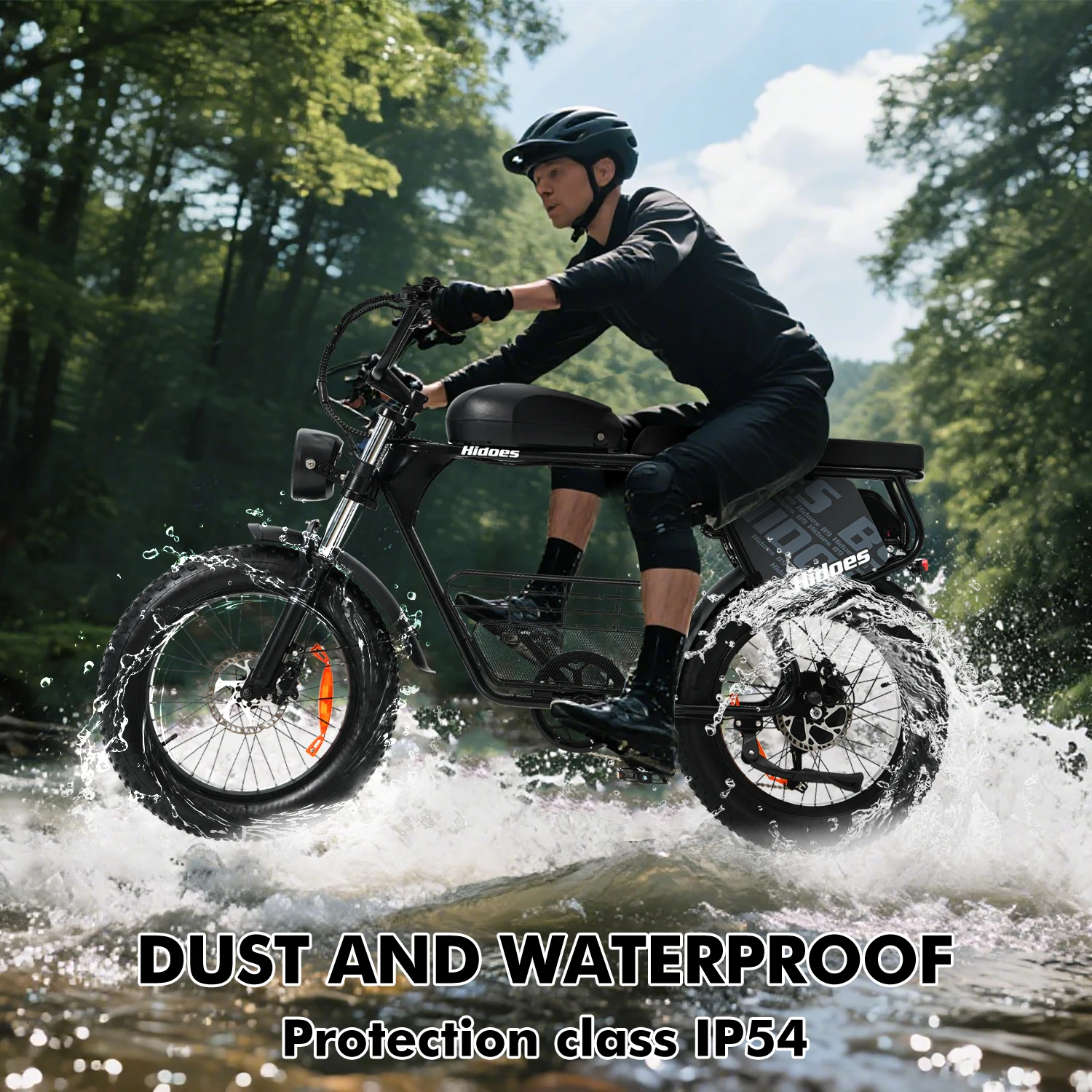 Hidoes B9 Electric Bike 750W Motor 48V33.8AH Battery 80-90km Range 7-Speed 20" Fat Tire Transmission Adult Electric Bicycle